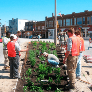 A group of people at a small community garden on an intersection island