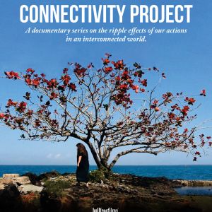 Connectivity Project