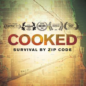 Cooked: Survival by Zip Code
