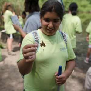 A young middle school girl holding up a dragonfly to the camera. She is smiling and is wearing a bright green Green Girls t-shirt.