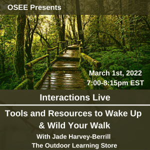 Wooded bridge in this forest. Tools and Resources to Wake Up & Wild Your Walk. March 1st, 2022. 7-8:15pm EST.