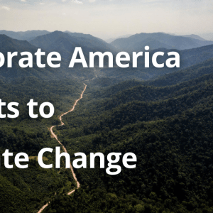 Photo of a mountain forest range with white text in front of the photo that says, "Corporate America Adapts to Climate Change." On the right are the WWF and Coca-Cola logos