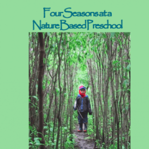 Cover of "Four Seasons at a Nature based Preschool"