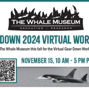 TWM's 2024 virtual Gear Down Workshop 