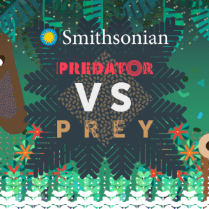 Banner of the event reads Smithsonian, Predator vs Prey. It has an animation of an upside down fringe-lipped bat on the top left corner and a túngara frog on the bottom right. 