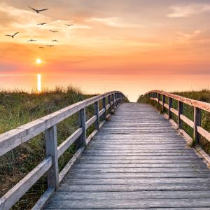 Panoramic view of a wood bridge going over grassy dunes toward the ocean; a sun-setting cloudy sky can be seen in the background, with birds flying