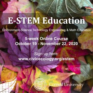 colorful leaves on E-STEM Education poster