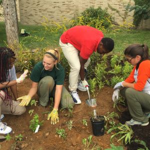 Four people with hand trowels planting by a light-colored brick wall