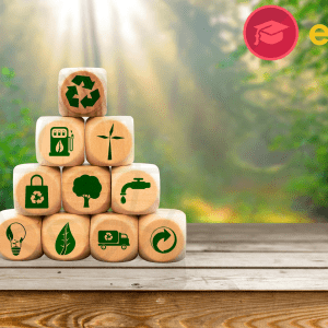 Small blocks representing sustainability concepts are stacked on a table in front of a sunlit forest.