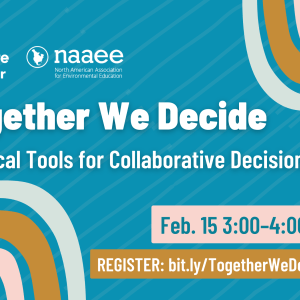 Multicolor arches on blue background with text about upcoming webinar, "Together We Decide: Practical Tools for Collaborative Decision Making. Feb. 15, 3:00 PM–4:00 PM ET"