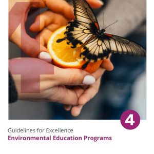 Photo of a butterfly on a sliced orange