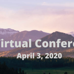 ee virtual conference