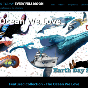 Graphic representation of ocean organisms called the ocean we love.