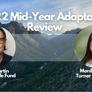 Background photo of a mountain and in front there is white text and two profile photos of a man and a woman. The white text says, "2022 Mid-Year Adaptation Review."