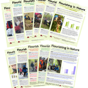 research briefs covers