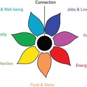 A graphic of a flower with different colored petals