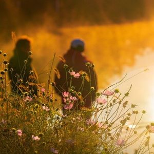 Photo of flowers in warm sunlight, and in the background, two blurry persons