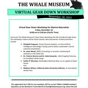 White background flyer with text included in the body of the post