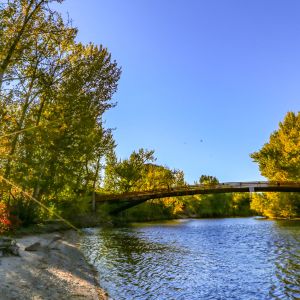 Foot bridge over river