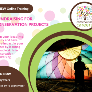 Colorful dotted background with a photo of a person holding a rainbow-colored tent