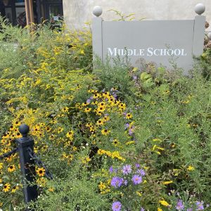Yellow and purple flowers surround a sign that reads, "Middle School"