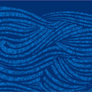 Blue promo graphic with text that reads, "Environmental Joy. 5th Annual Global Environmental Justice Conference. Exploring the transformative solutions of environmental justice communities. October 27–28, 2023."