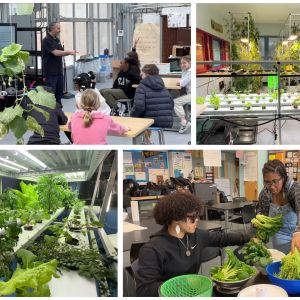 Photo grid of students in classroom lab setting surrounded by growing plants