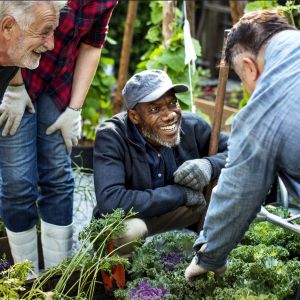 Group of people gardening