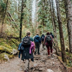 Group of students hiking a forest trail