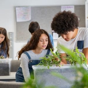 Students in a classroom lab setting, studying plants growing.