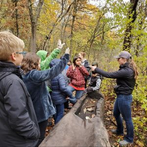 A group of children stand to the left of an adult pointing at a child raising their hand; between them is a log and behind them is a leafy forest
