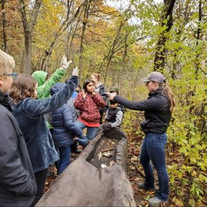 Eagle Bluff Fellow in Action