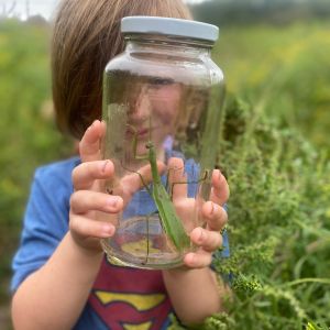 Photo of a young child holding a praying mantis in a glass jar