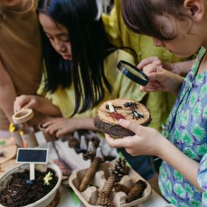 Two children examine plastic toy insects with magnifying glasses