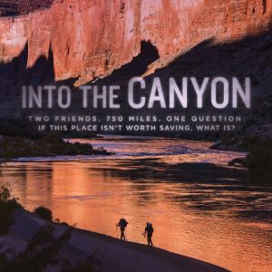 Into the Canyon