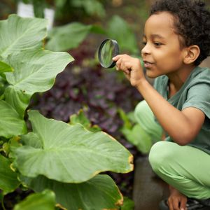 A young child looking at a plant through a magnifying glass