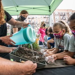 Kids at a table looking at an adult pour water from a pitcher onto some growing plants.