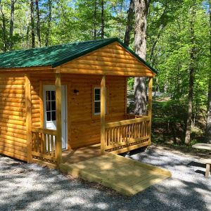 Large wood cabin with ramp within a forest