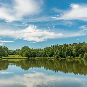 Green forest and blue sky reflecting in water of pond