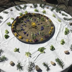 Photo of a variety of plants and flowers arranged in a circle on a table