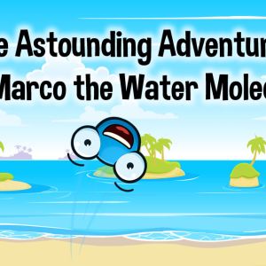 Illustration of a water molecule bouncing off a sandy beach with islands in the background. Bold black text above the water molecule says, "The Astounding Adventures of Marco the Water Molecule"