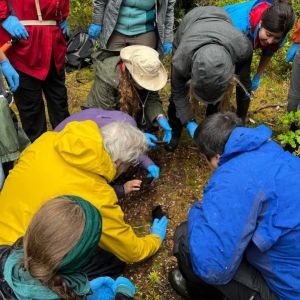 Participants in an environmental education program kneel together in a Patagonian forest in southern Chile, closely observing an endangered Darwin's frog during a hands-on conservation and field ecology learning activity.