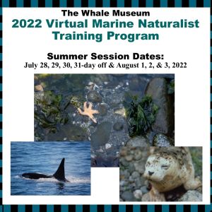 Flyer bordered by blue and black stripes. Inside are three overlapping images of a rocky tidal pool with sea star, a whale, and a seal. Text is in body of post.