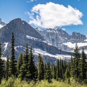  Forest Valley in between mt wilbur and mt Henkel at Glacier national park taken from the iceberg lake trail, Montana, USA