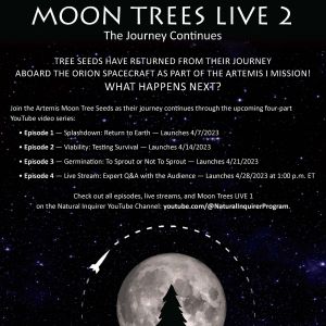 Moon Trees LIVE 2