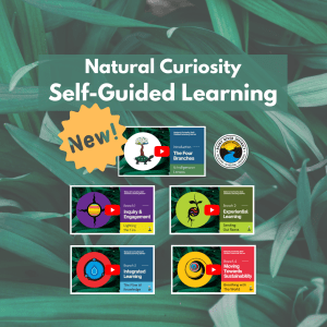 Infographic with green leaves as the background. In the foreground there are 5 thumbnails for each learning module video. The Rainy River District School Board logo is present. The text reads "Natural Curiosity's Self-Guided Learning Series New!"