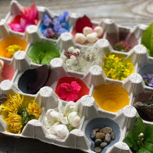 Children's creativity from the processing of the egg carton using natural material. Natural color hunt