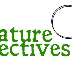 nature, nature education, observation, nature journal, discovery, environmental education, exploration