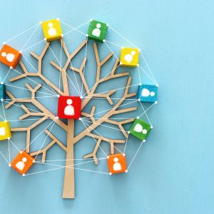 wooden tree with people icons over blue table, illustrating changemaker and ripple effect