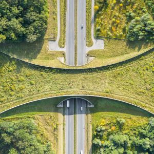 Aerial view of a wildlife bridge